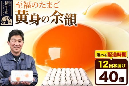 【常温発送】《定期便12ヶ月》黄身の余韻 40個（業務用）【発送時期が選べる】東海林養鶏場 黄身の余韻 卵 玉子 たまご タマゴ 12か月 12ヵ月 12カ月 12ケ月 開始時期選べる