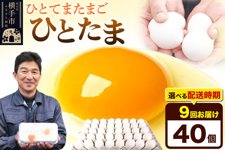 【常温発送】《定期便9ヶ月》ひとたま 40個（業務用）【発送時期が選べる】東海林養鶏場 ひとたま 卵 玉子 たまご タマゴ 9か月 9ヵ月 9カ月 9ケ月 開始時期選べる