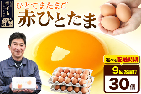 【常温発送】《定期便9ヶ月》赤ひとたま 30個（業務用）【発送時期が選べる】東海林養鶏場 赤ひとたま 卵 玉子 たまご タマゴ 9か月 9ヵ月 9カ月 9ケ月 開始時期選べる