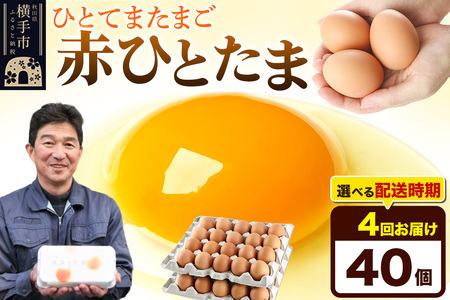【常温発送】《定期便4ヶ月》赤ひとたま 40個（業務用）【発送時期が選べる】東海林養鶏場 赤ひとたま 卵 玉子 たまご タマゴ 4か月 4ヵ月 4カ月 4ケ月 開始時期選べる
