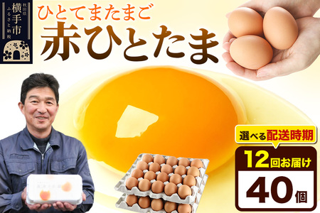 【常温発送】《定期便12ヶ月》赤ひとたま 40個（業務用）【発送時期が選べる】東海林養鶏場 赤ひとたま 卵 玉子 たまご タマゴ 12か月 12ヵ月 12カ月 12ケ月 開始時期選べる