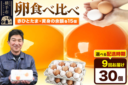 【常温発送】《定期便9ヶ月》赤ひとたま 15個・黄身の余韻 15個 計30個（業務用）【発送時期が選べる】東海林養鶏場 赤ひとたま 黄身の余韻 卵 玉子 たまご タマゴ 9か月 9ヵ月 9カ月 9ケ月 開始時期選べる