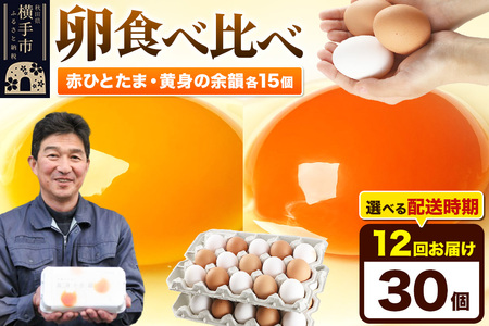 【常温発送】《定期便12ヶ月》赤ひとたま 15個・黄身の余韻 15個 計30個（業務用）【発送時期が選べる】東海林養鶏場 赤ひとたま 黄身の余韻 卵 玉子 たまご タマゴ 12か月 12ヵ月 12カ月 12ケ月 開始時期選べる
