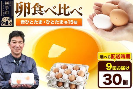 【常温発送】《定期便9ヶ月》赤ひとたま 15個・ひとたま 15個 計30個（業務用）【発送時期が選べる】東海林養鶏場 赤ひとたま ひとたま 卵 玉子 たまご タマゴ 9か月 9ヵ月 9カ月 9ケ月 開始時期選べる