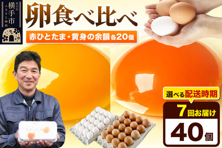 【常温発送】《定期便7ヶ月》赤ひとたま 20個・黄身の余韻 20個 計40個（業務用）【発送時期が選べる】東海林養鶏場 赤ひとたま 黄身の余韻 卵 玉子 たまご タマゴ 7か月 7ヵ月 7カ月 7ケ月 開始時期選べる