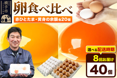 【常温発送】《定期便8ヶ月》赤ひとたま 20個・黄身の余韻 20個 計40個（業務用）【発送時期が選べる】東海林養鶏場 赤ひとたま 黄身の余韻 卵 玉子 たまご タマゴ 8か月 8ヵ月 8カ月 8ケ月 開始時期選べる