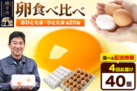 【常温発送】《定期便4ヶ月》赤ひとたま 20個・ひとたま 20個 計40個（業務用）【発送時期が選べる】東海林養鶏場 赤ひとたま ひとたま 卵 玉子 たまご タマゴ 4か月 4ヵ月 4カ月 4ケ月 開始時期選べる