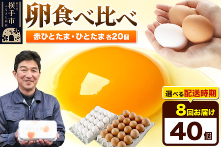 【常温発送】《定期便8ヶ月》赤ひとたま 20個・ひとたま 20個 計40個（業務用）【発送時期が選べる】東海林養鶏場 赤ひとたま ひとたま 卵 玉子 たまご タマゴ 8か月 8ヵ月 8カ月 8ケ月 開始時期選べる