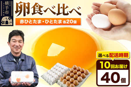 【常温発送】《定期便10ヶ月》赤ひとたま 20個・ひとたま 20個 計40個（業務用）【発送時期が選べる】東海林養鶏場 赤ひとたま ひとたま 卵 玉子 たまご タマゴ 10か月 10ヵ月 10カ月 10ケ月 開始時期選べる