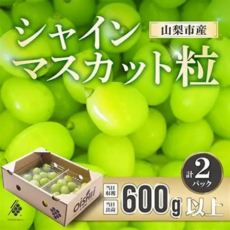 シャインマスカット 粒 600g オーバー 訳あり ぶどう 粒カット【配送不可地域：離島・北海道・沖縄県・四国・九州】【1579980】