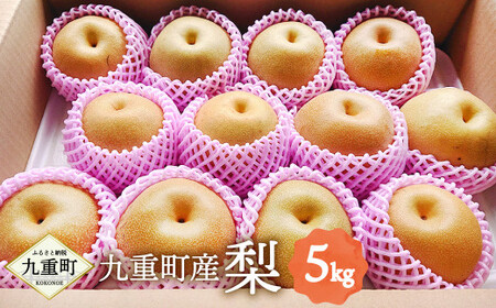 九重町産 梨 約5kg 豊水 新高 果物 フルーツ 大分県産 【2026年9月上旬-10月上旬発送予定】
