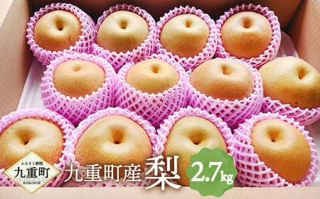 九重町産 梨 約2.7kg 豊水 新高 果物 フルーツ 大分県産 【2026年9月上旬-10月上旬発送予定】