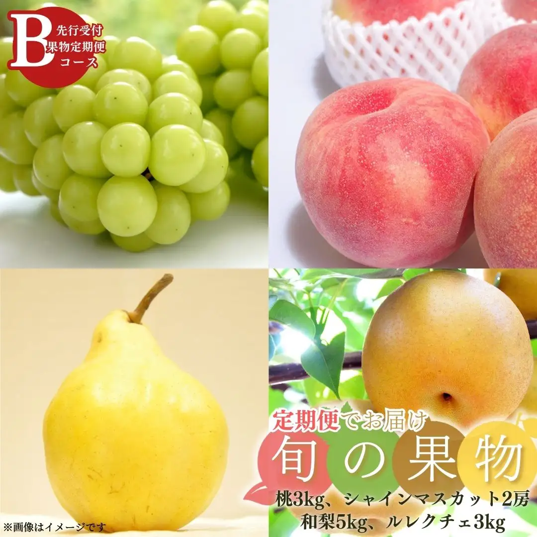 先行予約 フルーツ 定期便 全4回 フルーツ 定期便Bコース (桃3kg、シャインマスカット2房、和梨5kg、ルレクチェ3kg) 令和8年産 フルーツ 定期便 新潟県三条市 083S009