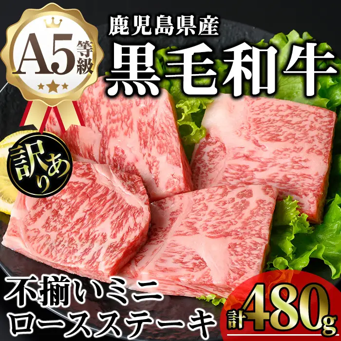 【訳あり】鹿児島県産 A5等級 黒毛和牛 不揃い ロース ミニ ステーキ(計480g)【KNOT】 A641-v01