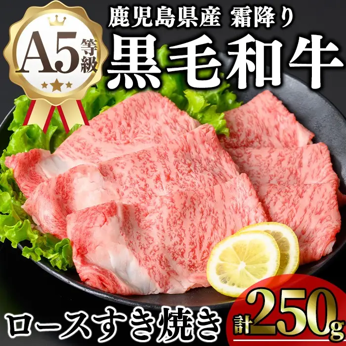 鹿児島県産 A5等級 黒毛和牛 霜降り ロース すき焼き(計250g)【KNOT】 A643-v01