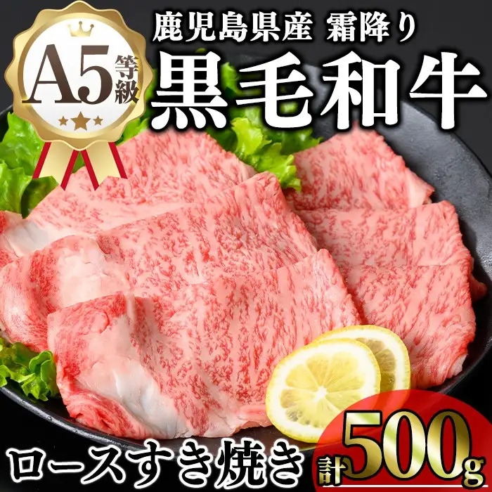 鹿児島県産 A5等級 黒毛和牛 霜降り ロース すき焼き用 (計500g) 【KNOT】 A644-v01