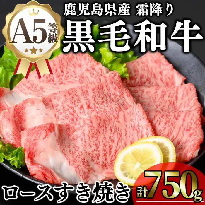 鹿児島県産 A5等級 黒毛和牛 霜降り ロースすき焼き用 (計750g)【KNOT】 B184-v01