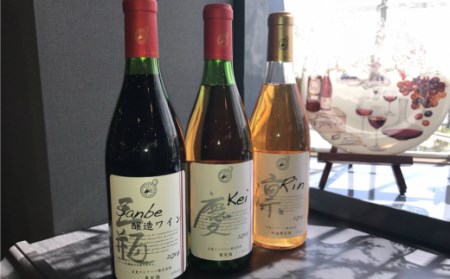 【赤】石見ワイナリーで醸造したワイン（sanbe醸造ワイン）【赤ワイン 720ml 1本 山ぶどう メルロー 富士の夢 すっきり 飲みやすい ワイン 赤 フルボディー フルボディ 父の日 母の日】