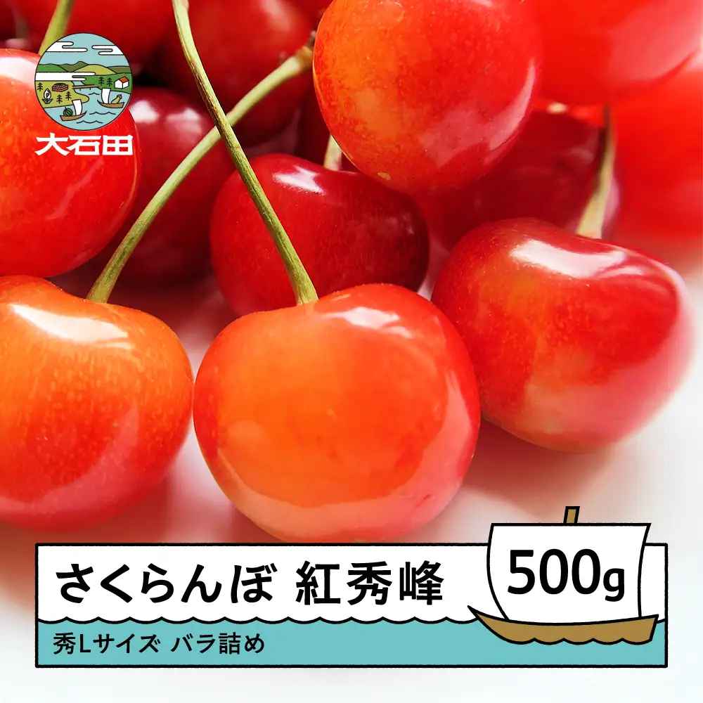 令和8年産 さくらんぼ 紅秀峰 秀L 500g 化粧箱 ns-bsslb500