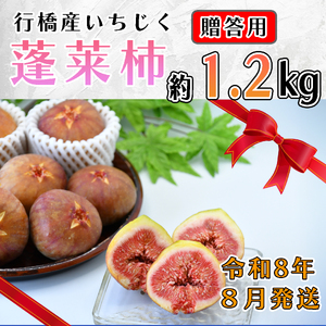 AO-025_【予約・令和８年夏発送】行橋産いちじく（蓬莱柿）贈答用　1箱