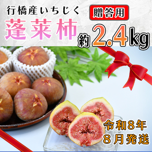 AO-026_【予約・令和８年夏発送】行橋産いちじく（蓬莱柿）贈答用　2箱