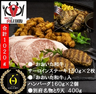 大分・別府特産肉盛り_B172-007