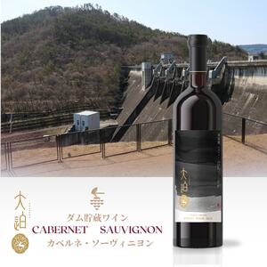 「早池峰の恵み」モリタワイン カベルネ・ソーヴィニヨン2017 ダム貯蔵ワイン ミディアムボディ 辛口 720ml×1本 【2109】