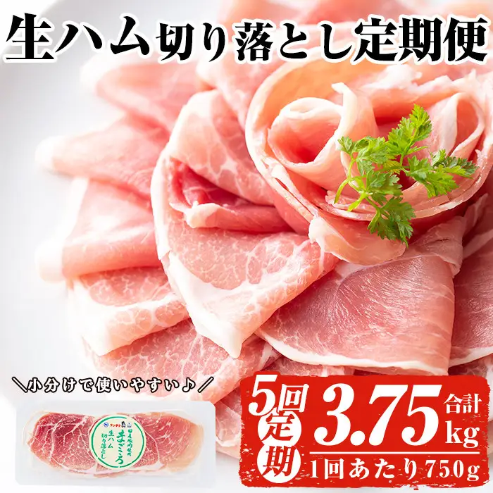 ＜定期便・全5回(連続)＞ 鹿児島 国産 豚 生ハム 切り落とし（計3.75kg/計750g・75g×10P×5回） 【ナンチク】 T30