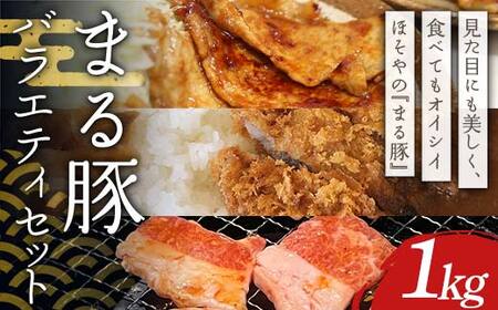 まる豚 バラエティセット1kg（もも一口かつ用300g・切り落し200g・バラ焼肉300g・ひき肉200g） F4H-0519