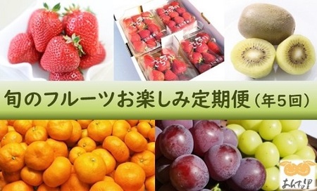 【年5回】旬のフルーツ定期便★あんずの里【随時開始】[H7032]