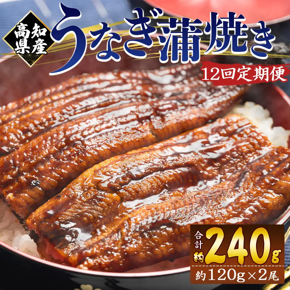 うなぎ蒲焼き 100〜120g 2尾 定期便 12回 うなぎ Wfb-0040