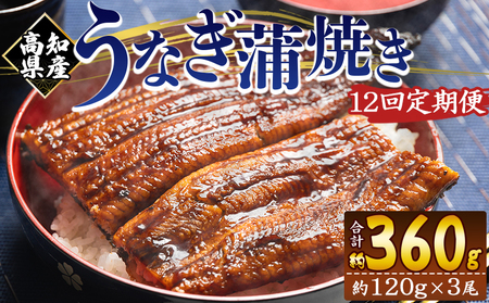 国産 うなぎ 定期便 100g～120g 3尾 12回 蒲焼き 高知県産 養殖 魚介 国産 海鮮 魚 かばやき 鰻 ウナギ 惣菜 おかず お手軽 加工品 加工食品 冷凍 Wfb-0044
