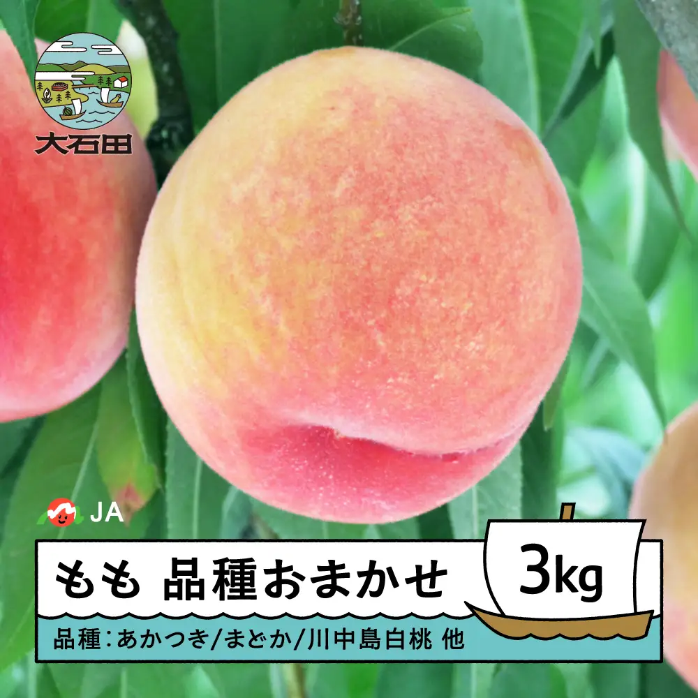 【先行予約】桃 品種おまかせ 3kg 2026年産 令和8年産 もも モモ 果物 フルーツ 果樹 ja-moxxx3 ※沖縄・離島への配送不可