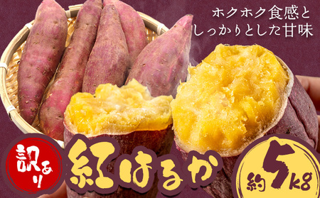 訳あり さつまいも 紅はるか 約5kg