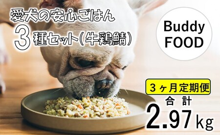 【3ヶ月定期便】完全国産・獣医師オススメの愛犬の安心ごはん【Buddy FOOD バディフード】 3種セットA（牛鶏鯖） CS-409