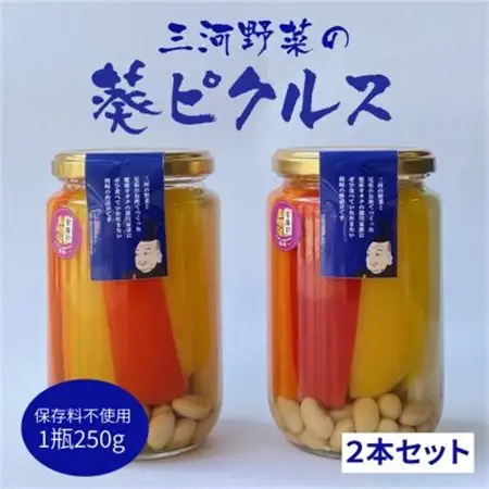 三河野菜の葵ピクルス「あいちの家康酢漬」250gびん2本【配送不可地域：離島】【1575501】