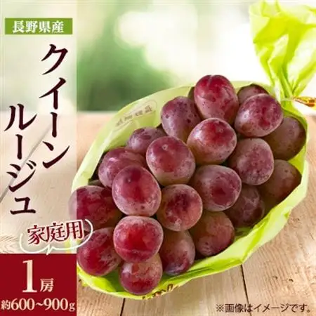 【2026年発送】長野限定　家庭用　クイーンルージュ(赤ぶどう)1房(約600～900g)【配送不可地域：離島】【1580240】