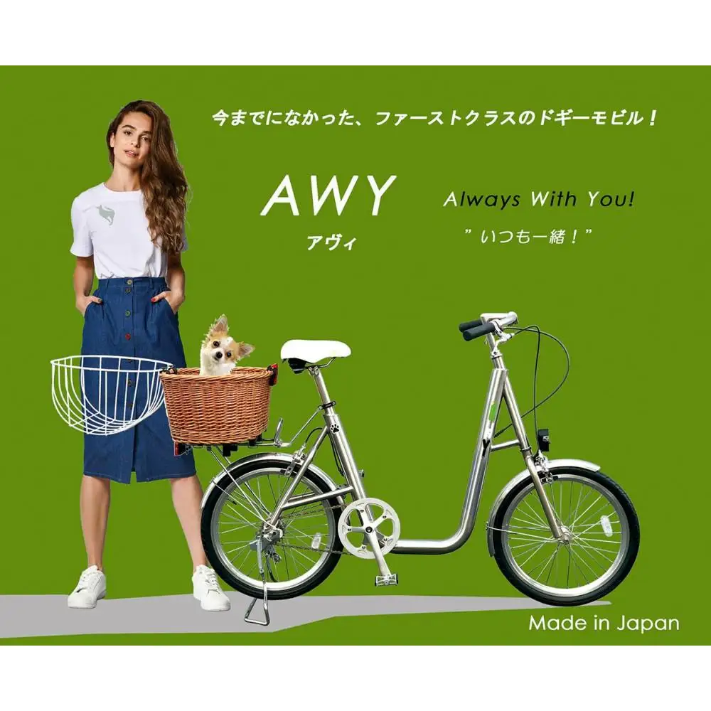 AWY (アヴィ)　20インチ　自転車
