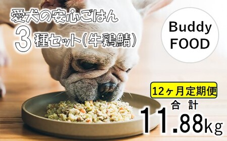 【12ヶ月定期便】完全国産・獣医師オススメの愛犬の安心ごはん【Buddy FOOD バディフード】 3種セットA（牛鶏鯖） JS-313