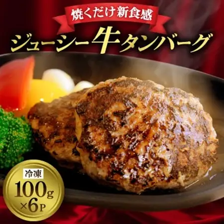 和泉市牛タンバーグ100g×6パック(冷凍)【配送不可地域：離島】【1577215】