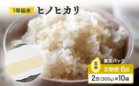 定期便 6回 米 1等級米 一粒からこだわる 真空パック 玄米 ヒノヒカリ 2合（300g）×10袋 お米 コメ お楽しみ 6ヶ月 令和7年度産