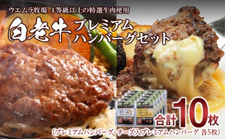 白老牛プレミアムステーキハンバーグセット