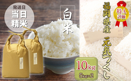 R7年産 米 元気つくし 10kg (5kg×2袋) 特A米 特a 発送当日精米 精米 白米 お米 おこめ こめ コメ ご飯 ごはん 単一原料米 福岡 福岡県 小郡市