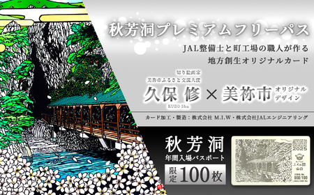 数量限定 秋芳洞プレミアムフリーパス