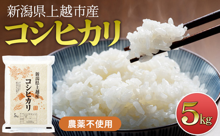 【新潟県上越市産　令和7年産】栽培期間中 農薬不使用コシヒカリ5kg 精米 米