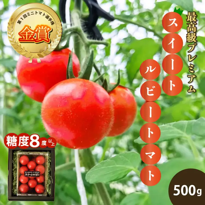 広島県産 スイートルビートマト 500g 野菜 やさい 食品 トマト ミニトマト とまと 金賞受賞 三原市 甘い 032002