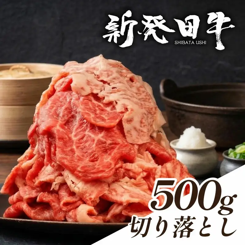 新発田牛 牛肉切り落とし 500g  牛肉切り落とし enomoto001