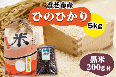 ヒノヒカリ5kgと黒米200gセット(奈良県香芝市産) [3253]