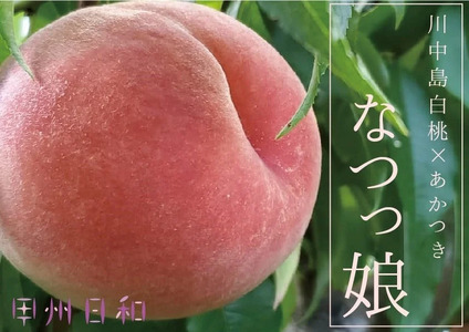 【品種指定】朝採れ！白桃系なつっこ 約1.8kg【2026年発送】（KSB）C-132 桃 フルーツ