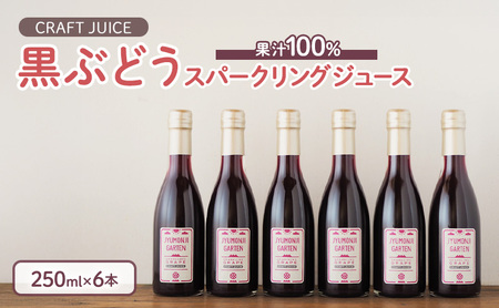 黒ぶどうジュース 100％スパークリング（250ml×6本）